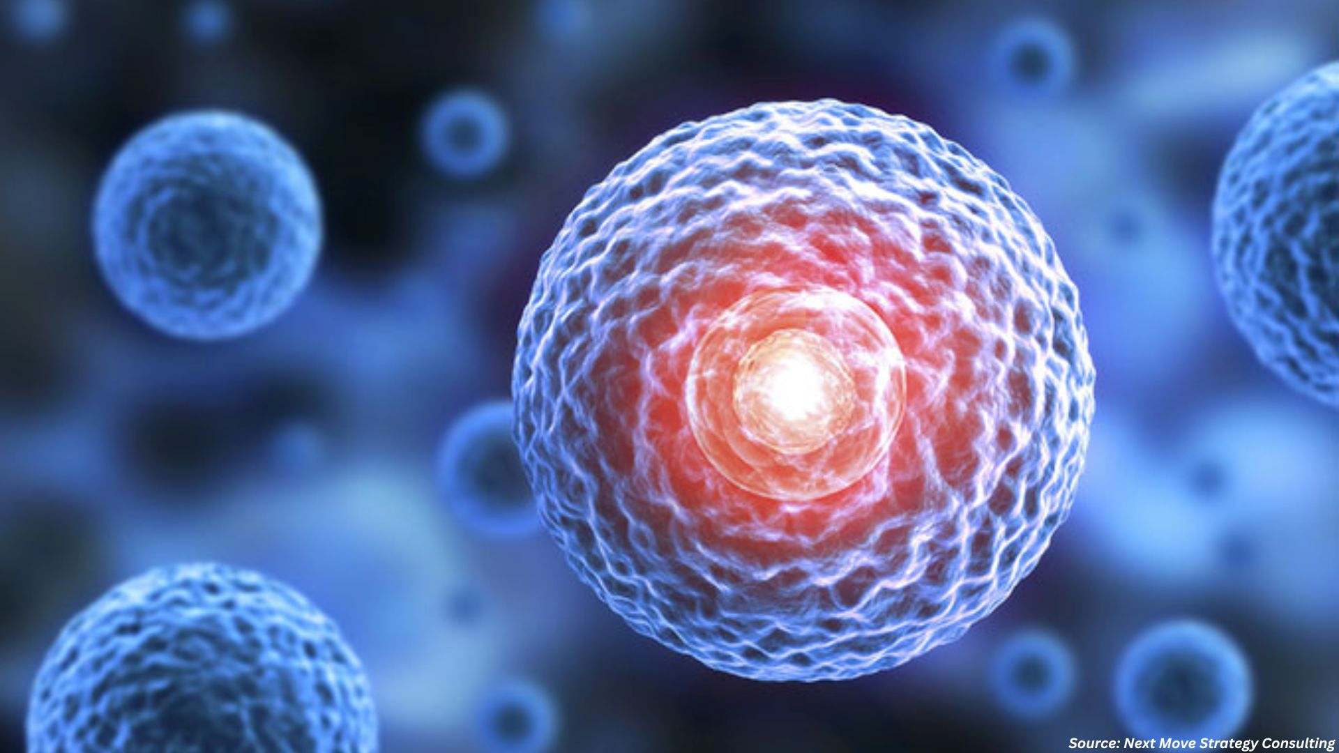 3D Cell Culture Industry Gains Momentum from Hydrogel Breakthroughs