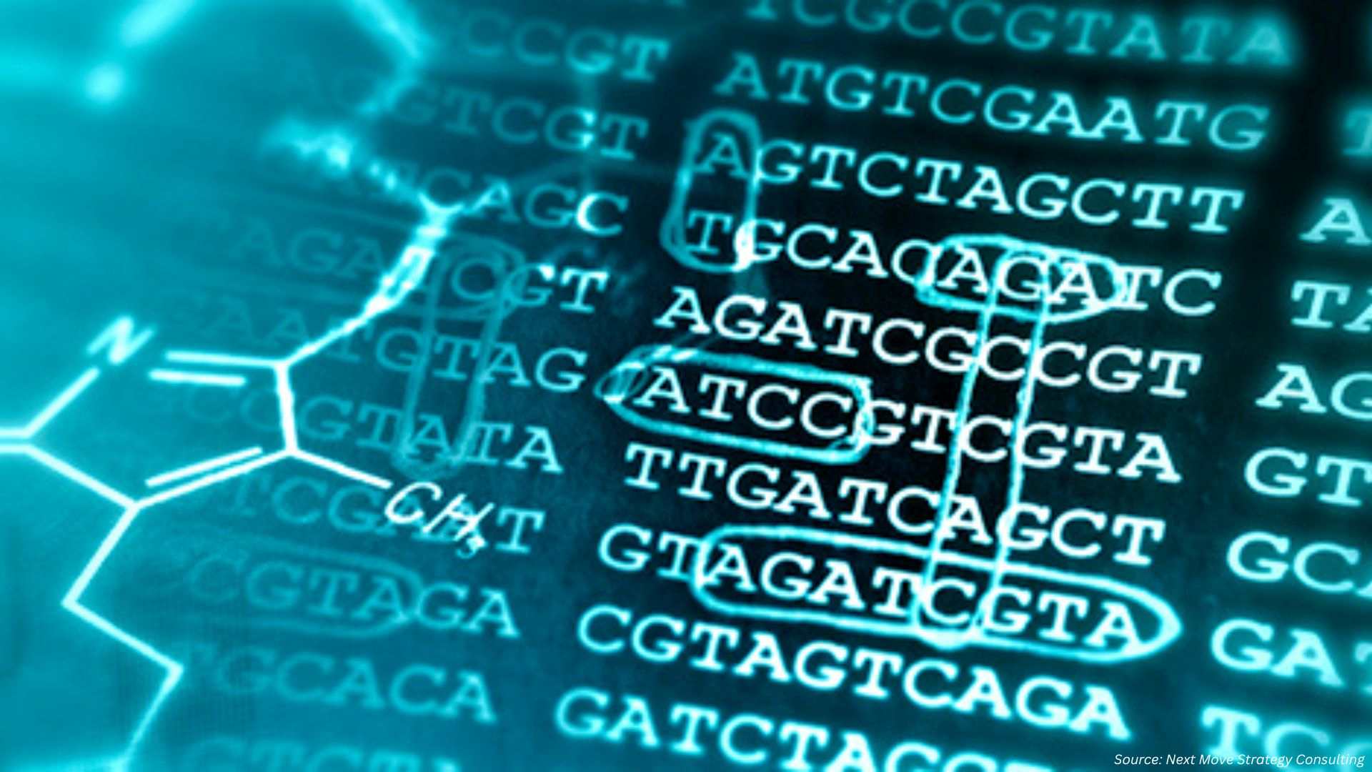 Global Collaboration and AI Tools Accelerate Bioinformatics Market Development