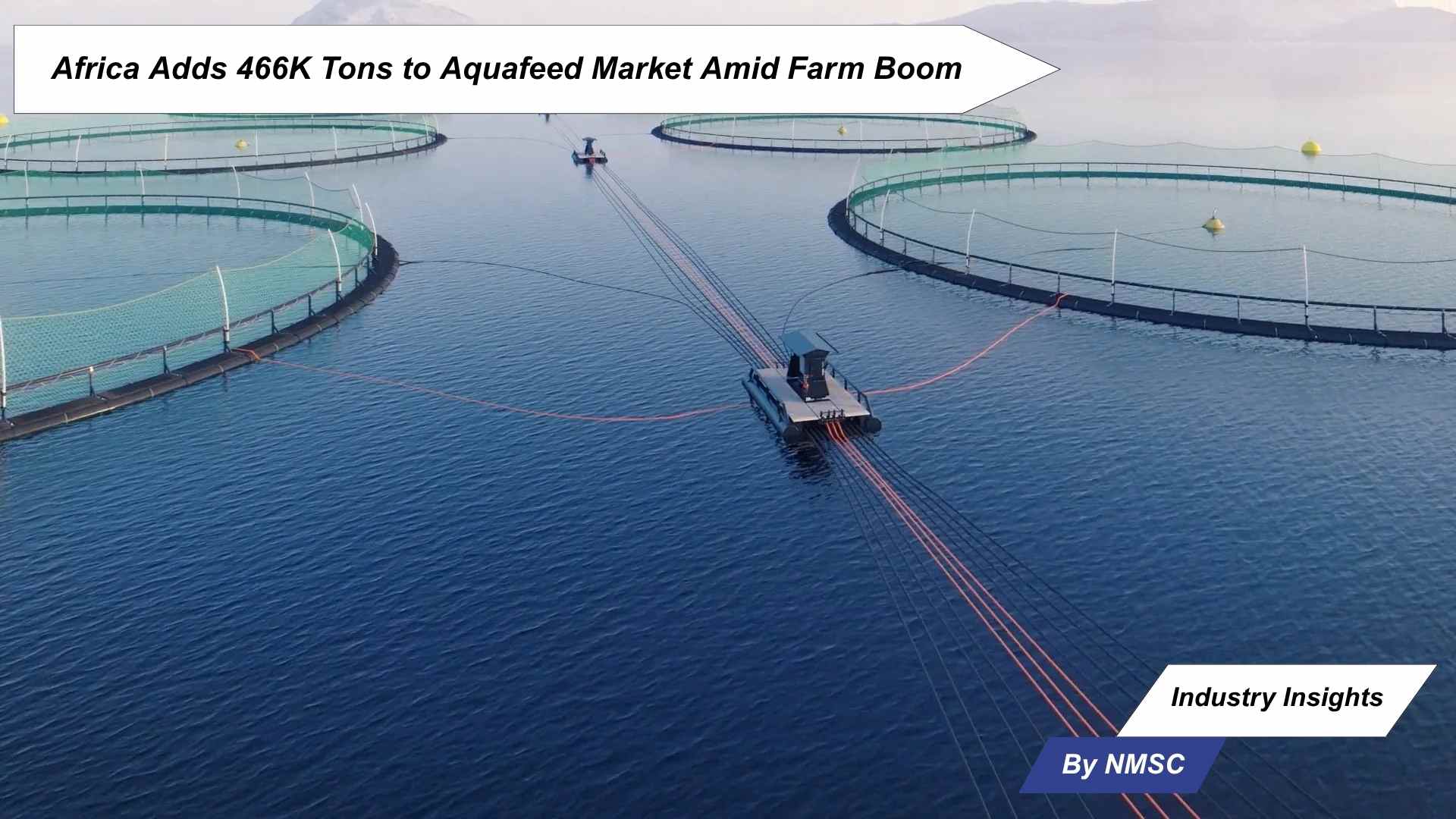 Africa Adds 466K Tons to Aquafeed Market Amid Farm Boom