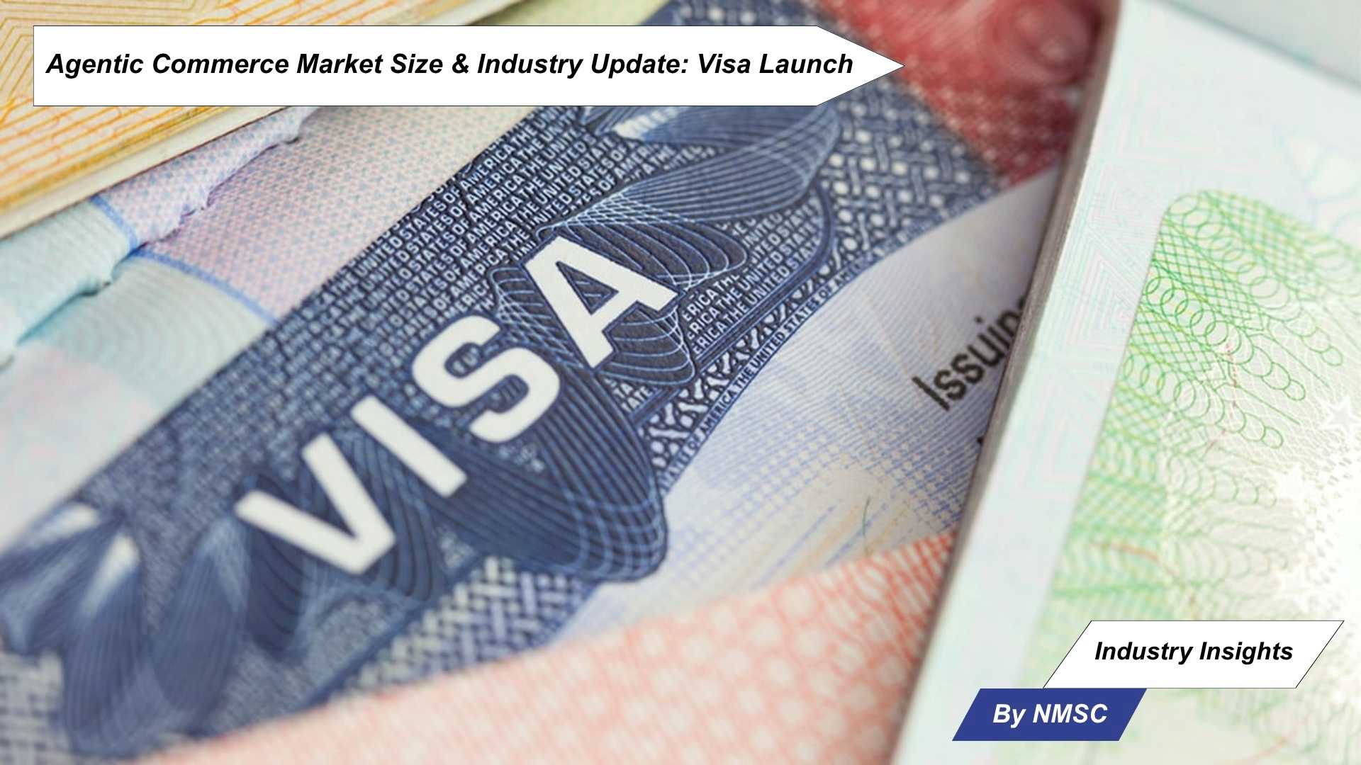 Agentic Commerce Market Size & Industry Update: Visa Launch