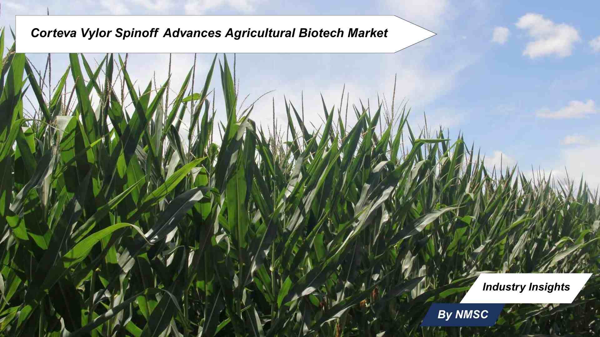 Corteva Vylor Spinoff Advances Agricultural Biotech Market