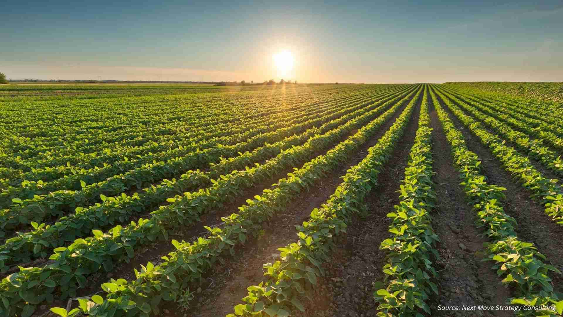 EU NGT Regulation Reshapes Agricultural Biotech Landscape