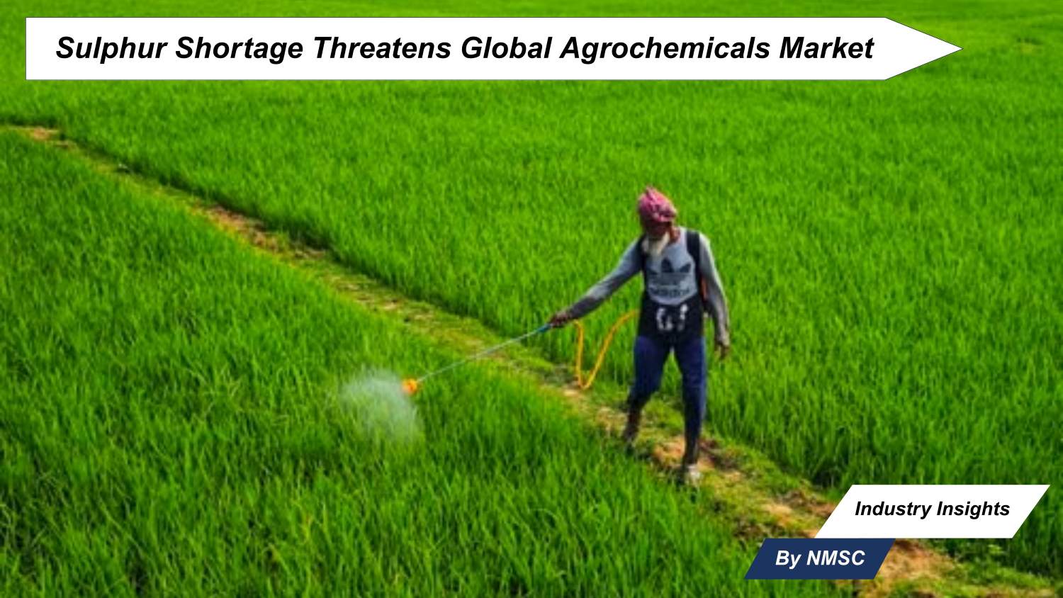 Sulphur Shortage Threatens Global Agrochemicals Market