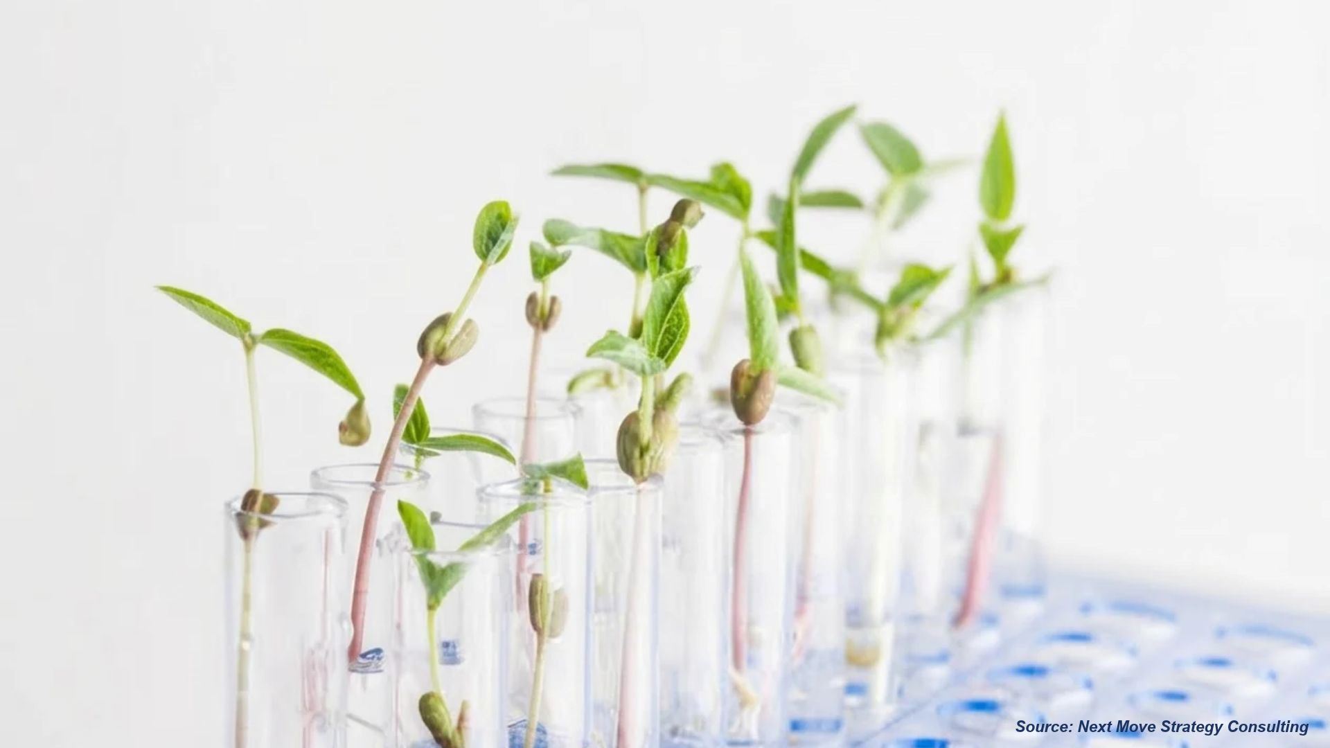 EU NGT Law and CRISPR-Combo Breakthrough Reshape Plant DNA Market | NextMSC