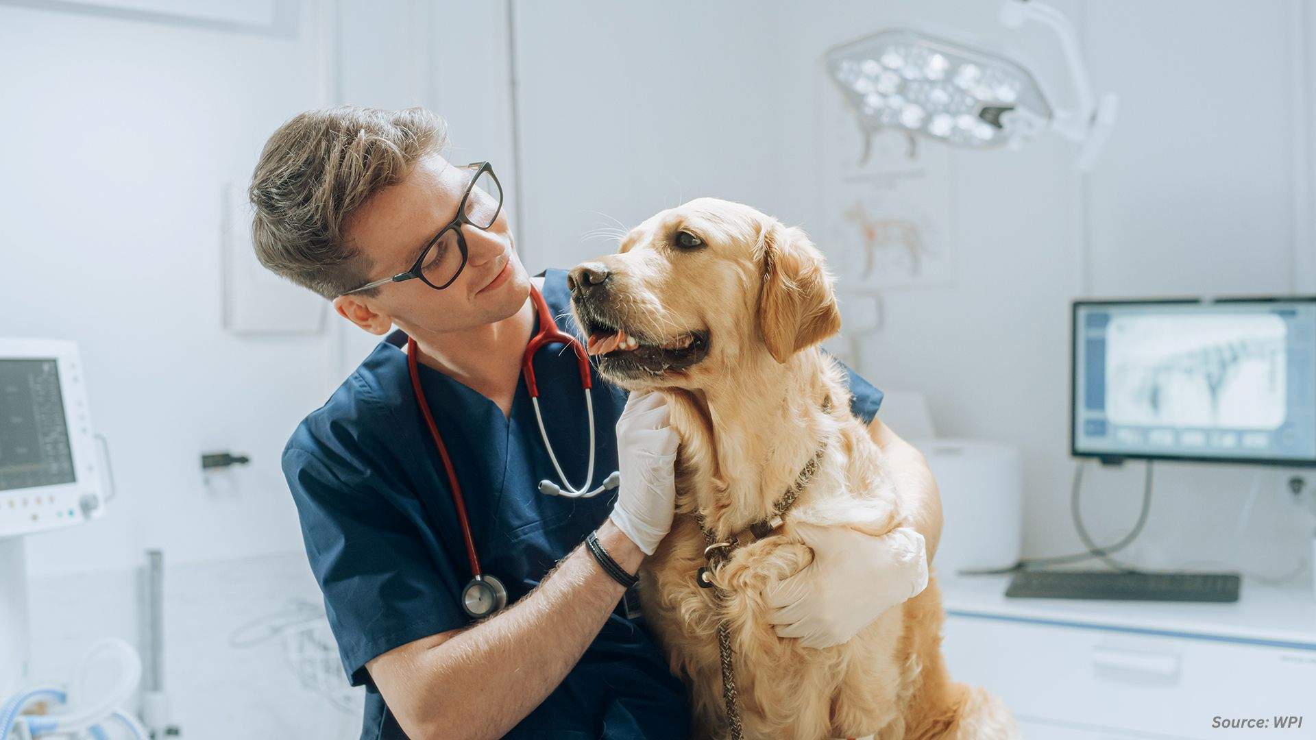 Animal Health Market: Expansion, Policy Support, and Innovation