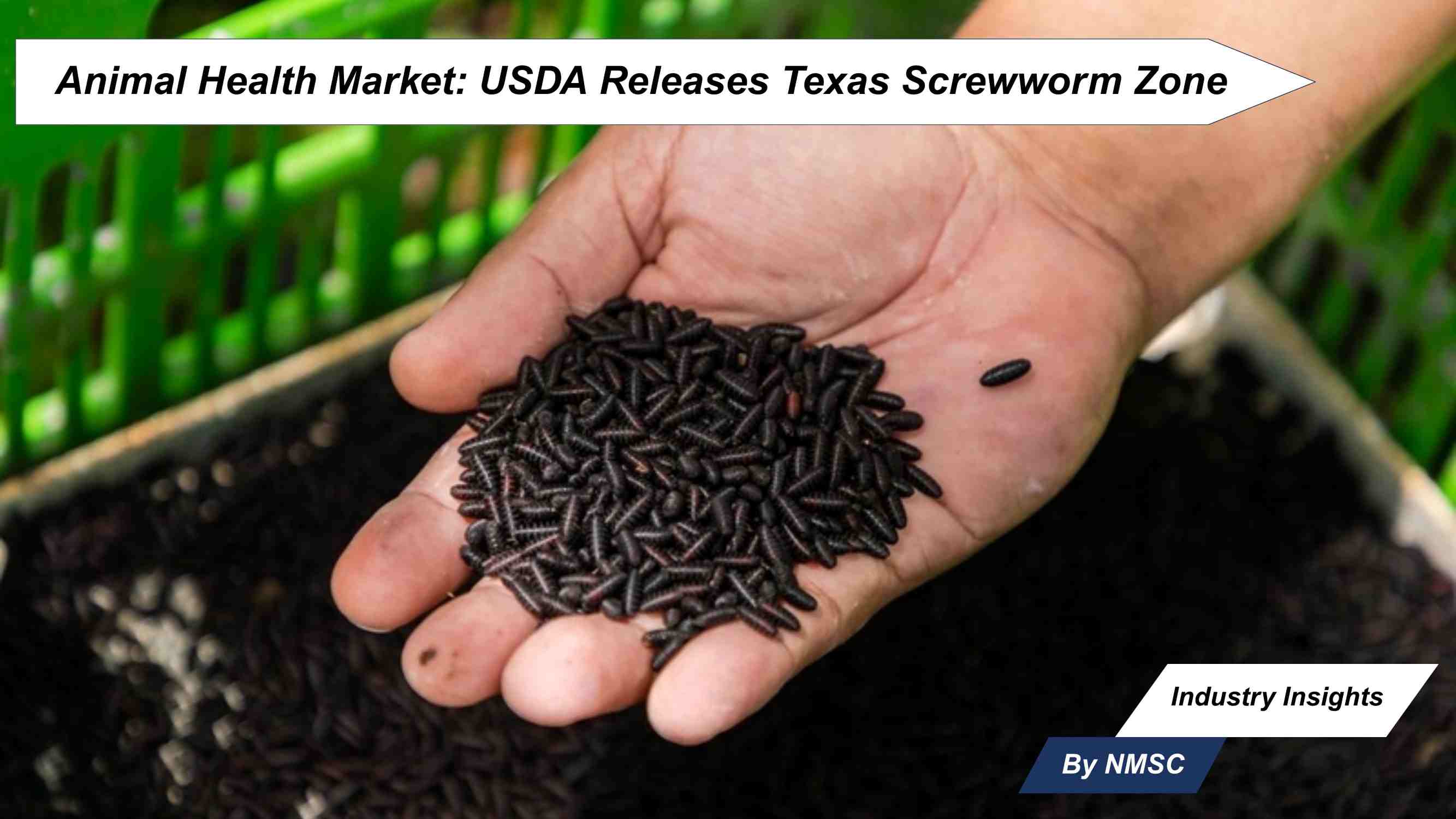 Animal Health Market: USDA Releases Texas Screwworm Zone