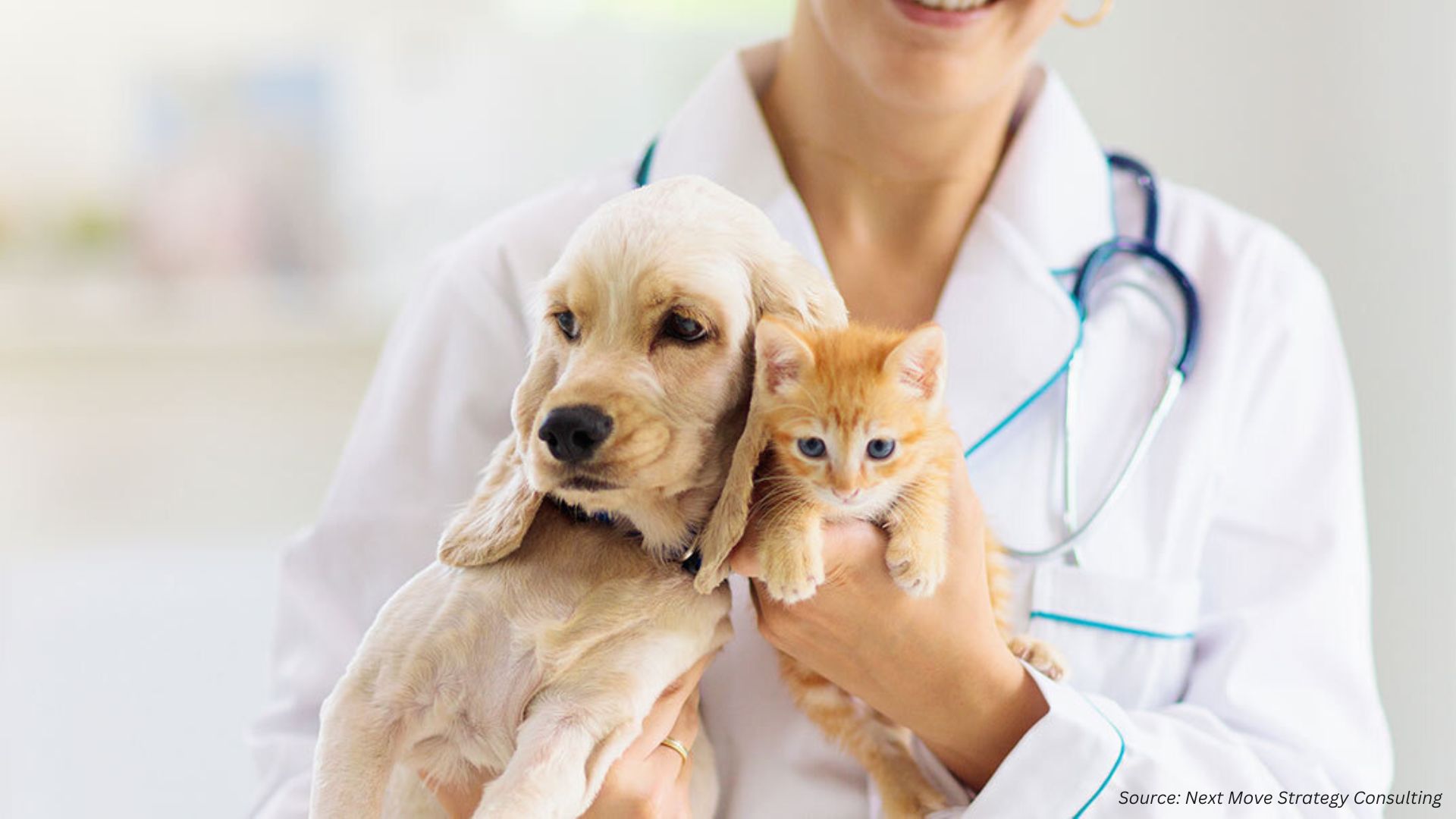 High-Stakes Trends Shaping the Global Animal Health Market in 2025