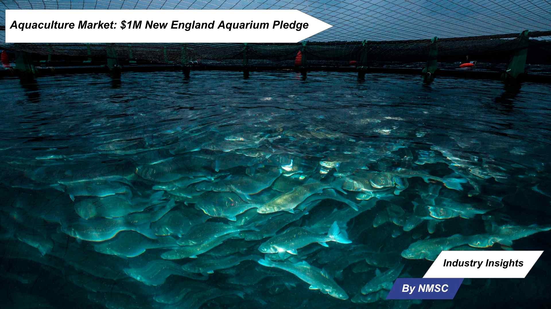Aquaculture Market: $1M New England Aquarium Pledge
