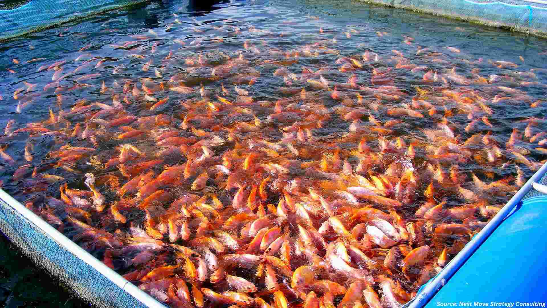 Aquaculture Market Advances with R&D Expansion and Food Security Investments