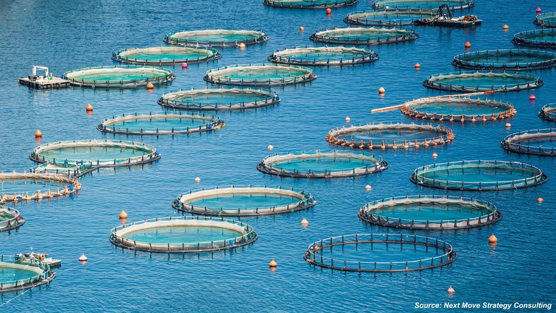 What Is Driving the Future of Aquaculture in 2026?