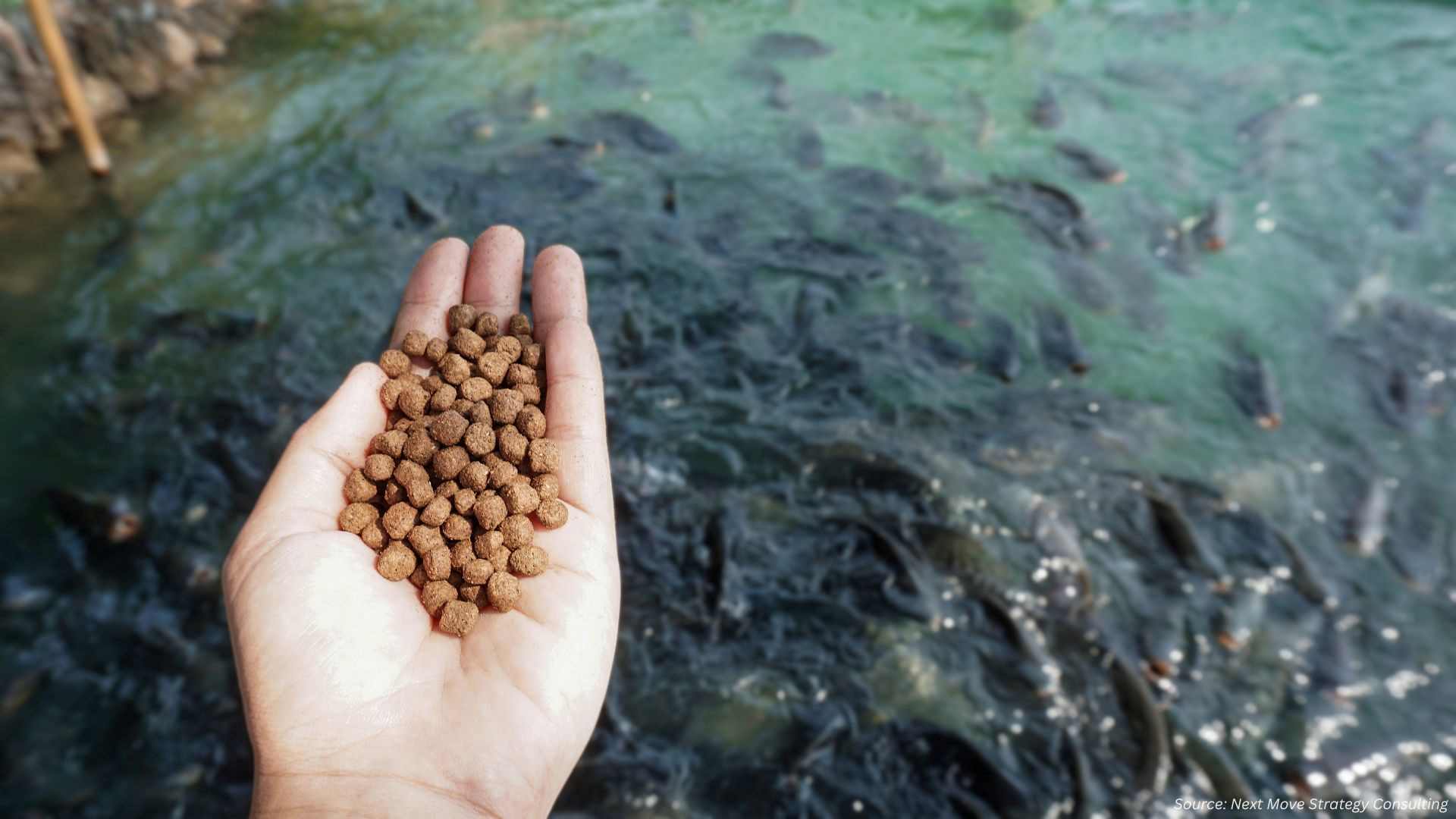 Aquafeed Market Evolves with Sustainable Innovations in 2024-2025