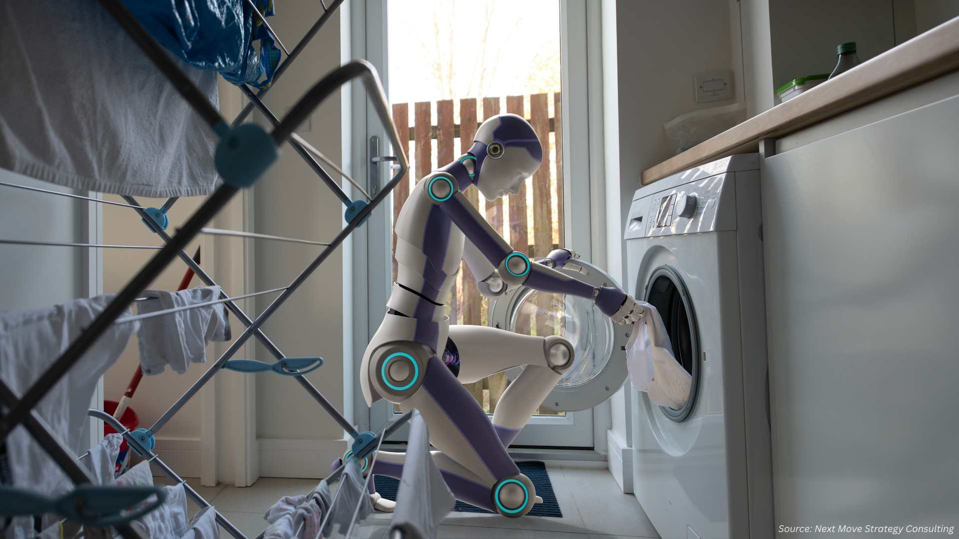Are Household Robots the Future of Home Convenience?