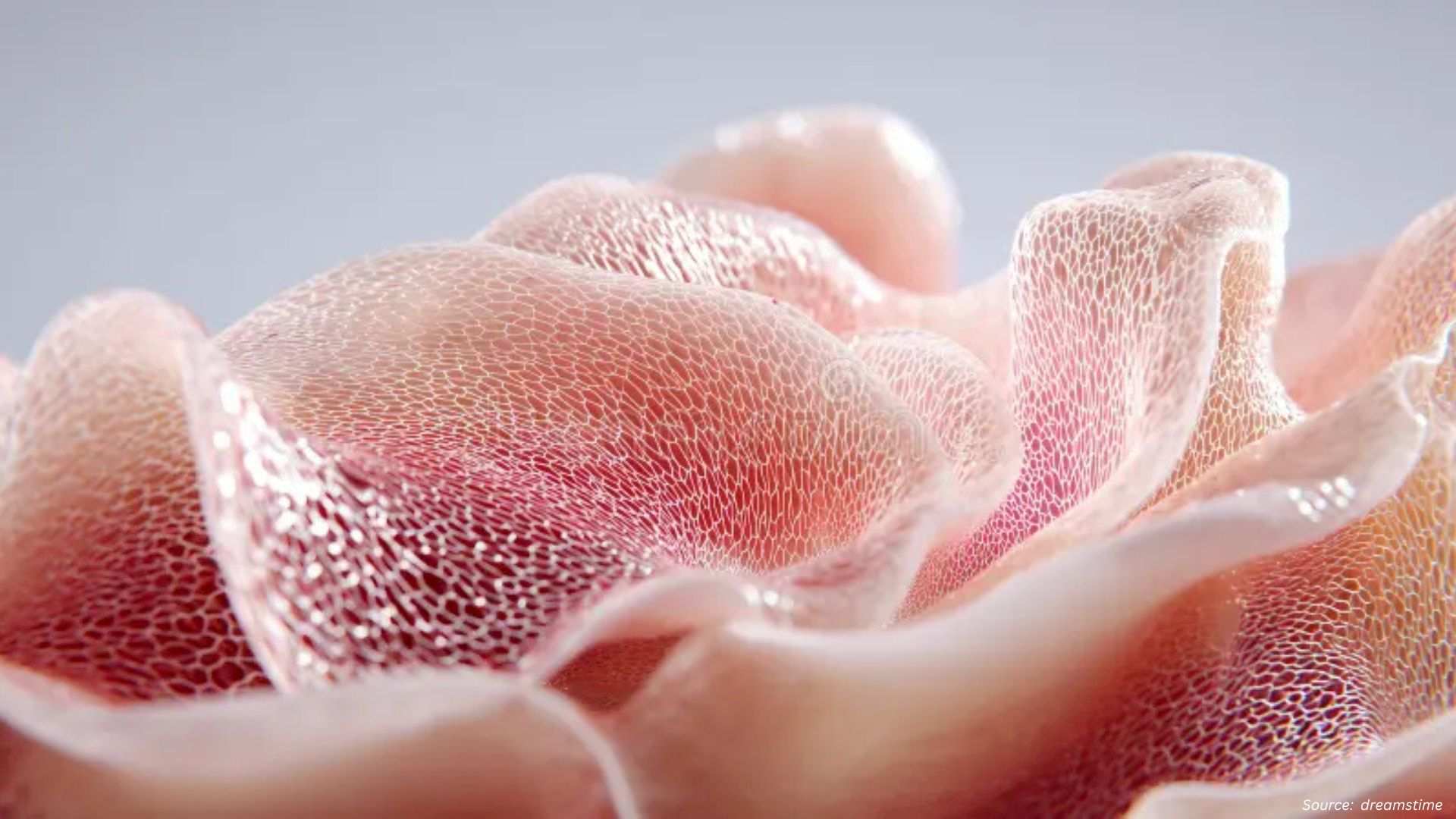 Can Artificial Tissues Transform Healthcare as We Know it?
