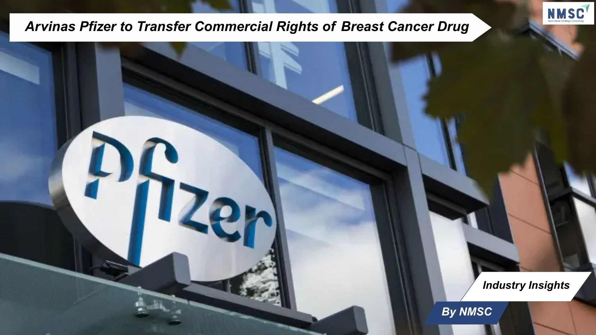 Arvinas Pfizer to Transfer Commercial Rights of Breast Cancer Drug