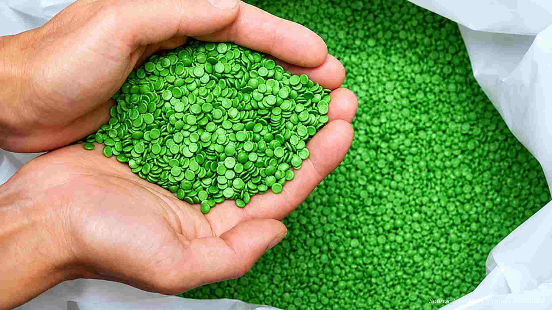 The Phthalate Reckoning: Bio Plasticizers Take Over