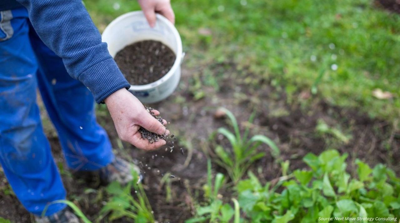 Biofertilizers Market: Innovation Shaping the Futu...