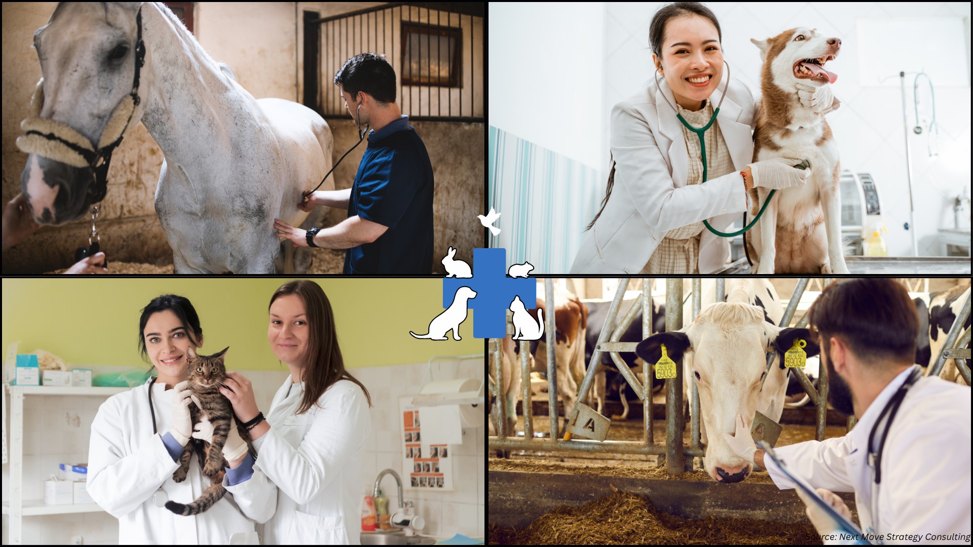 What’s Driving the Animal Health Market? Top Manufacturers in 2024-2025