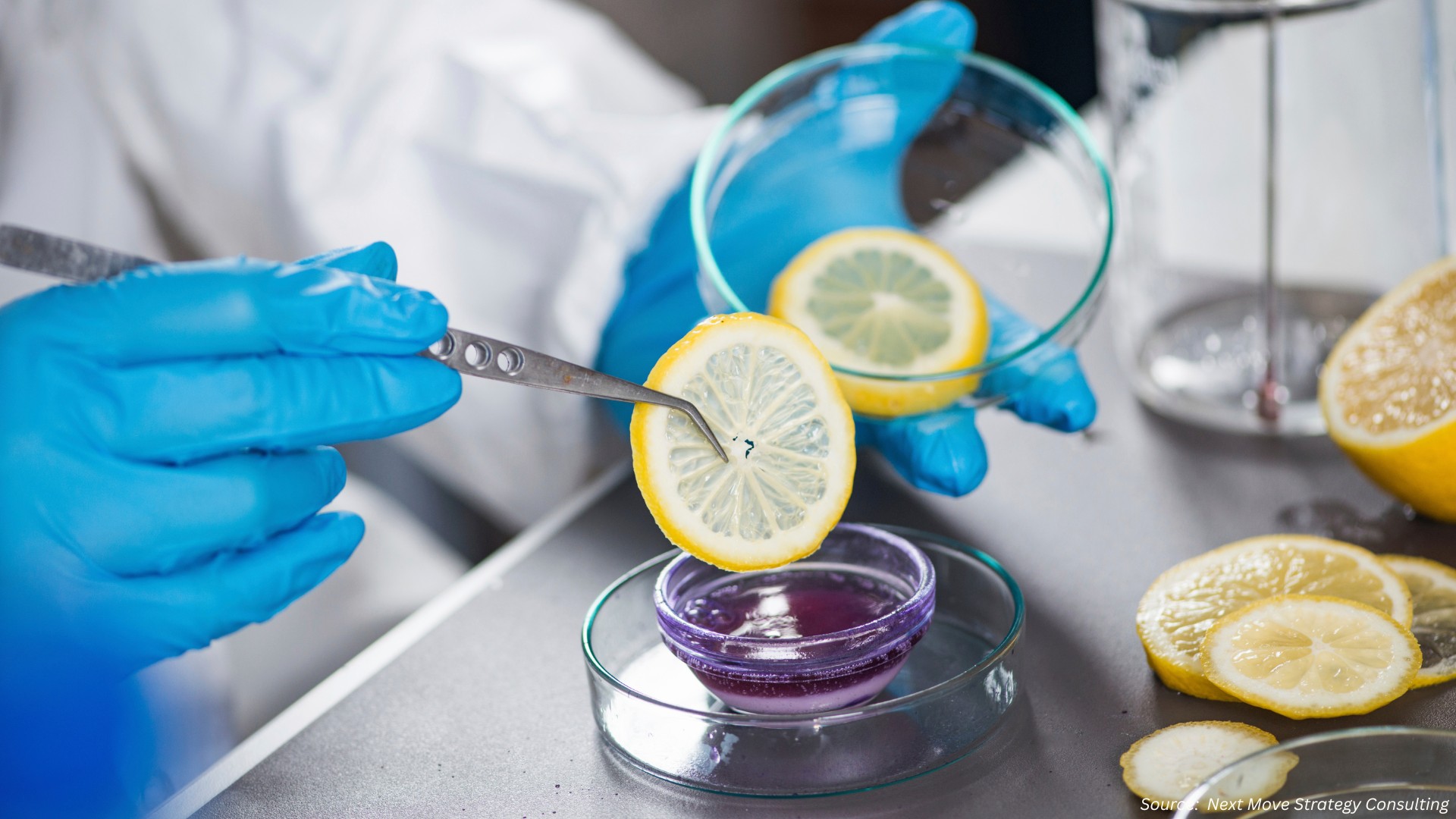 Biological Safety Testing: Ensuring Safe Research and Vaccines