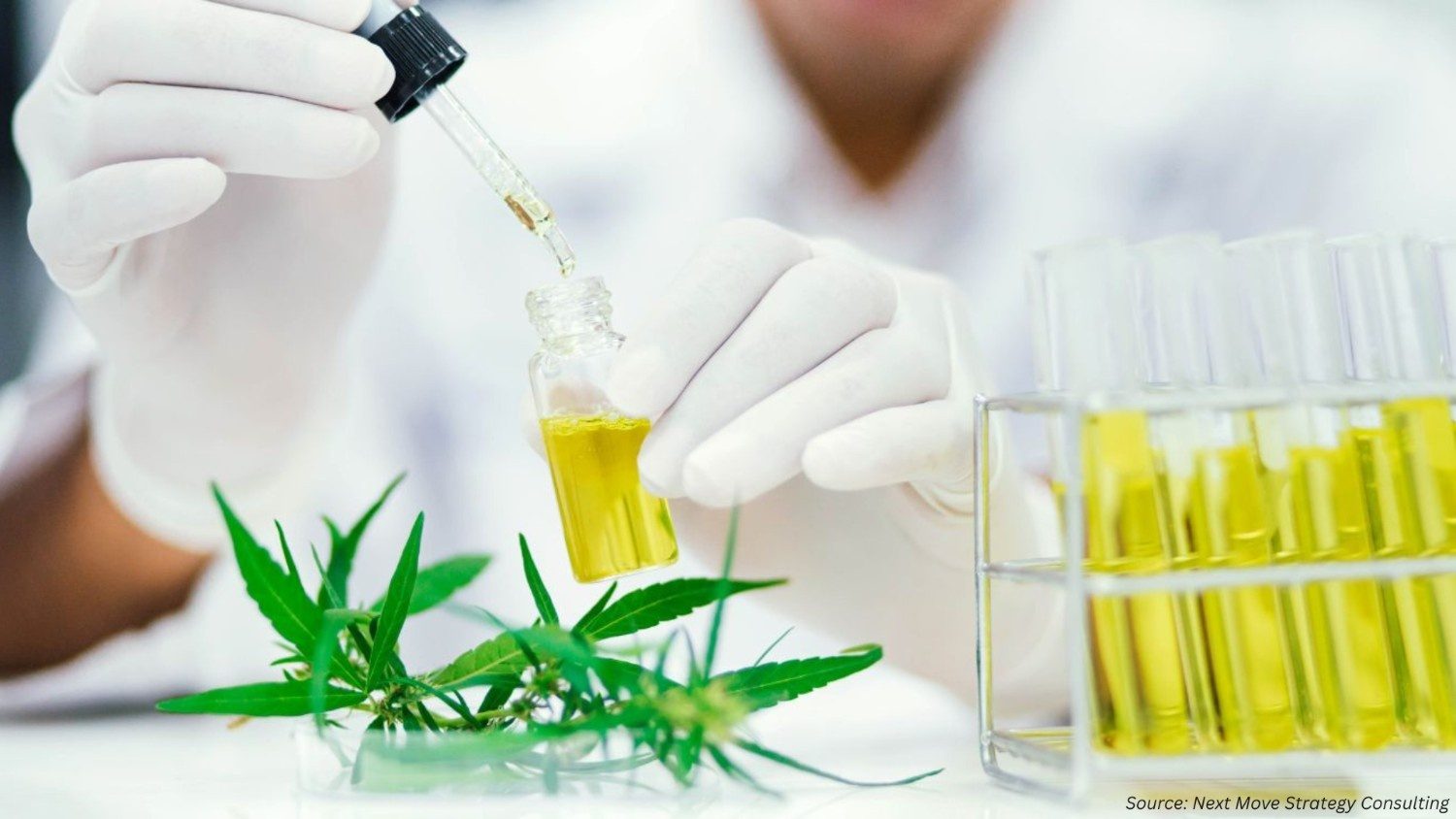 Is the Cannabis Testing Market Ready for Emerging Challenges?