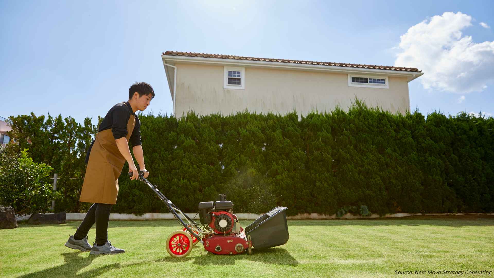 Exploring 2025 Trends in Lawn Care Products Market