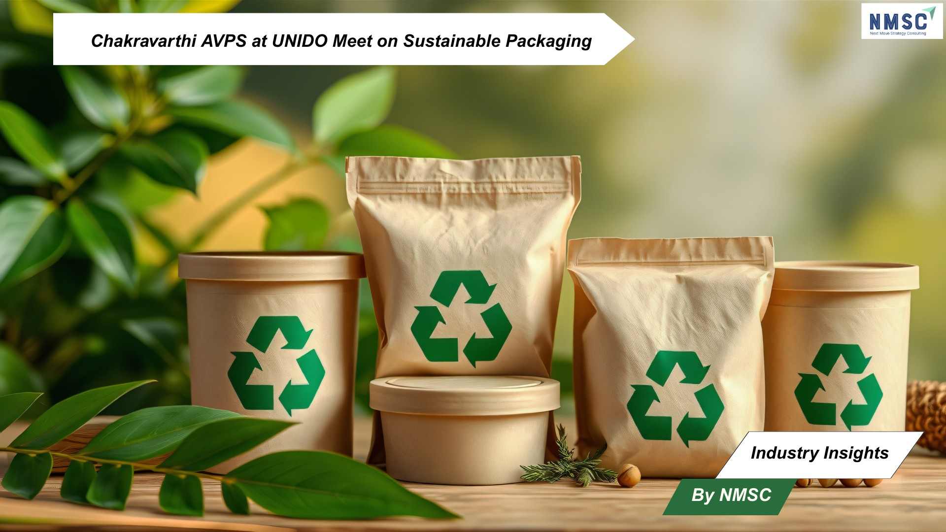 Chakravarthi AVPS at UNIDO Meet on Sustainable Packaging