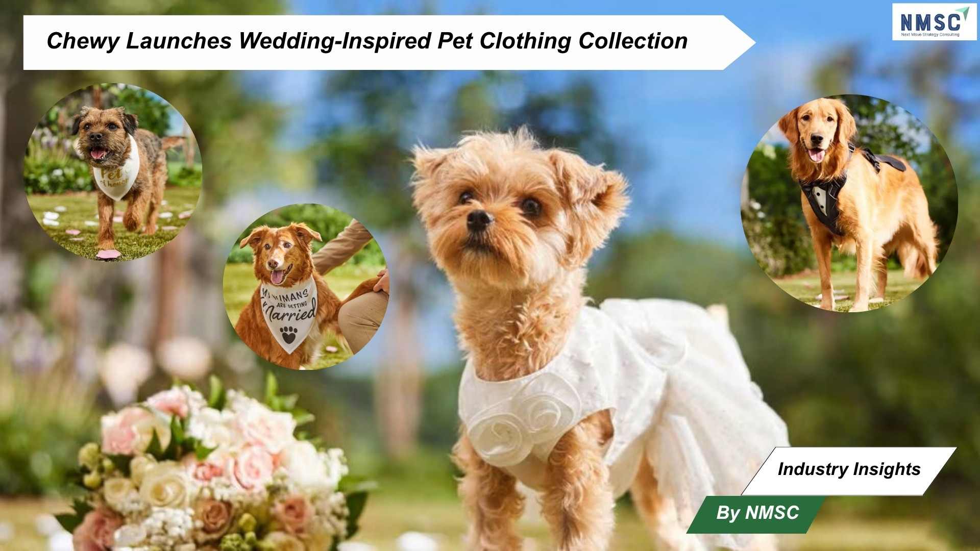Chewy Launches Wedding-Inspired Pet Clothing Collection