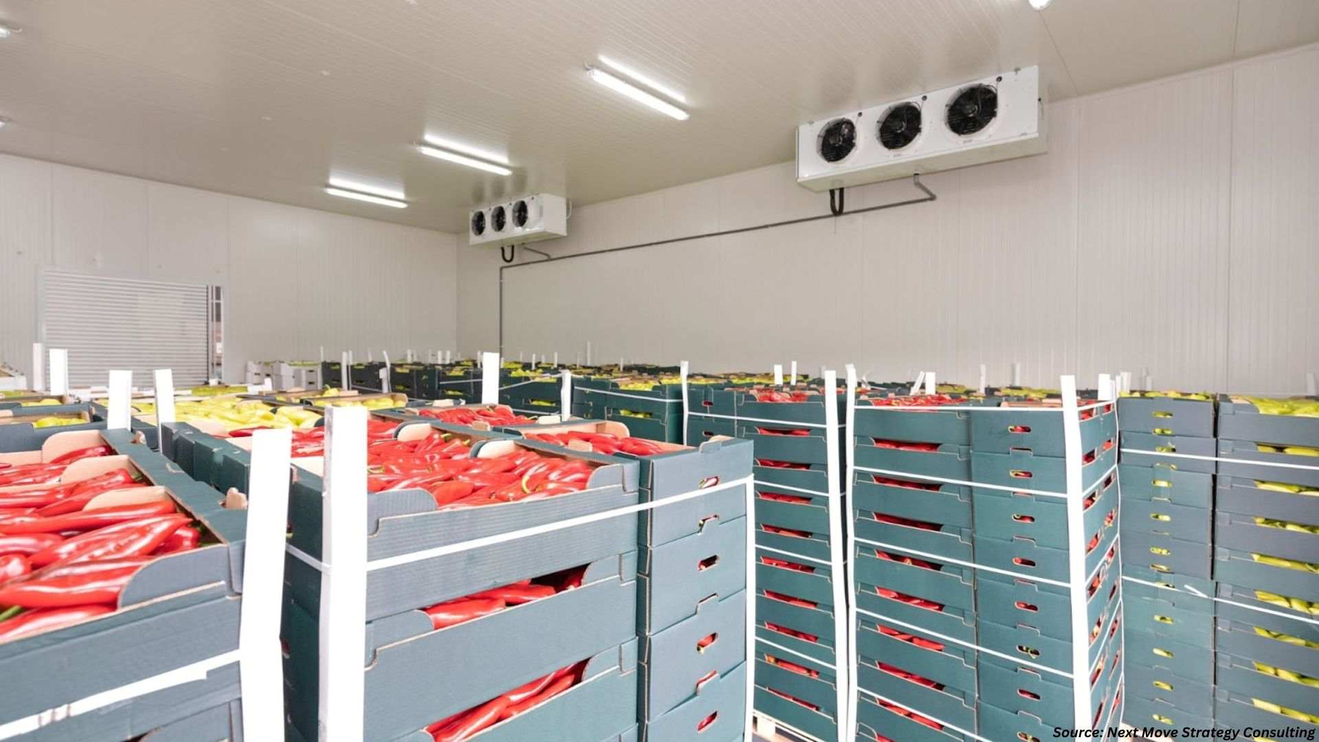 China, Ghana Boost Global Cold Storage Expansion