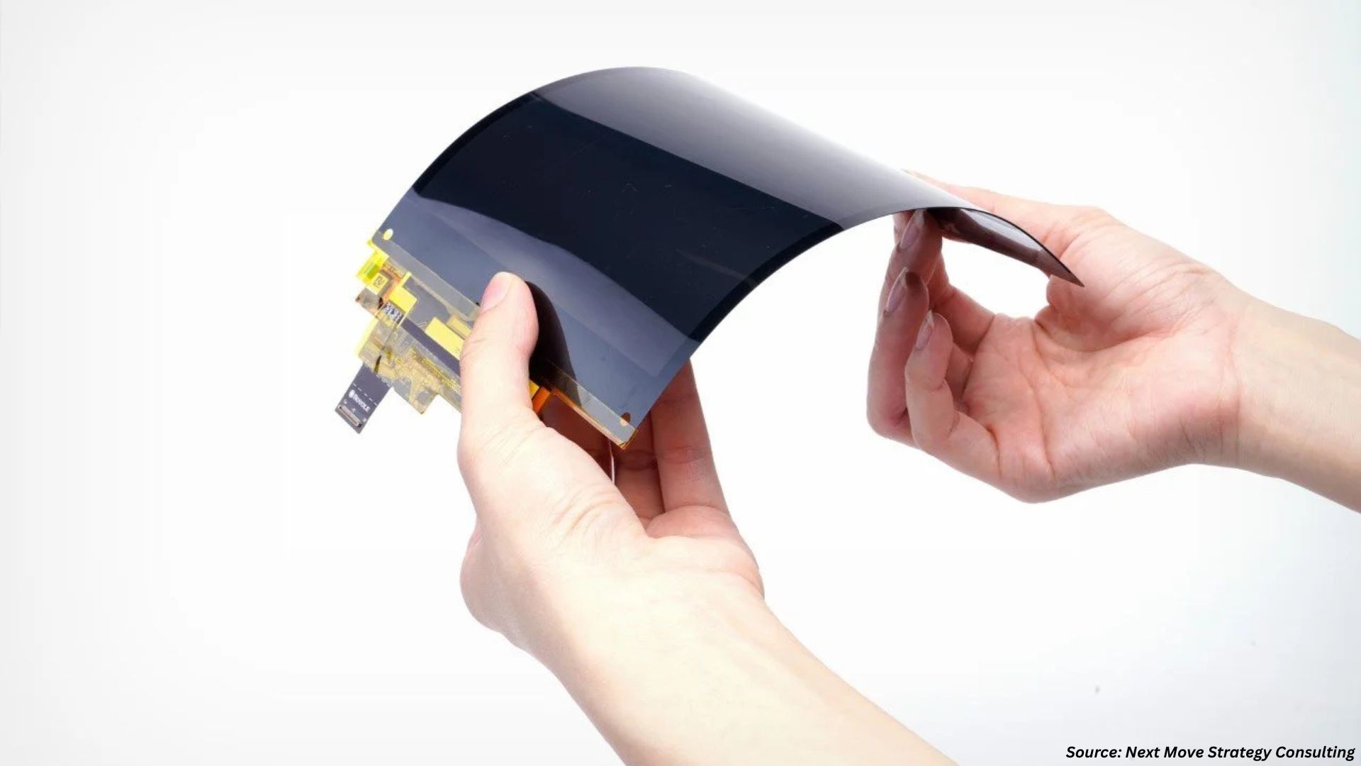 Flexible Display Market Advances with Stretchable OLED Innovation
