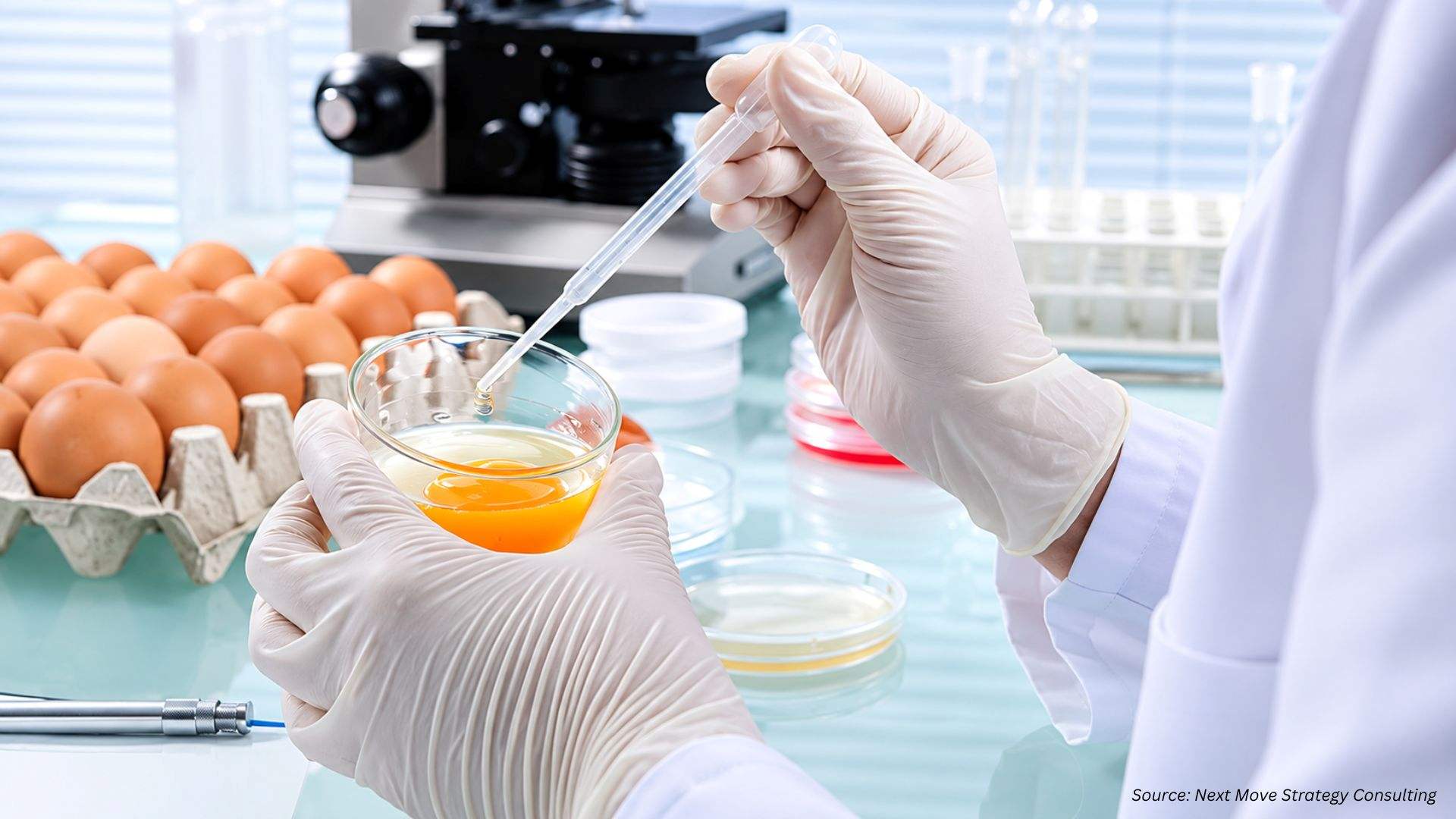 Food Safety Testing Statistics, Trends & Forecasts for 2026
