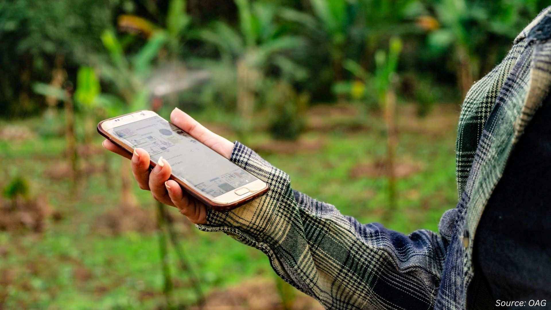 From Invisible Stress to Actionable Data: Wearable Plant Sensors Reshape Farming
