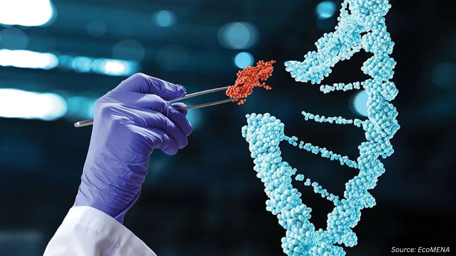 Gene Editing Market: Policy Direction and Agricultural Innovation