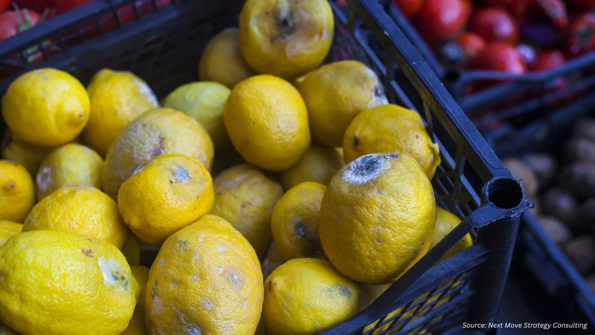 Global Food Waste Crisis Puts Post-Harvest Treatment in Focus