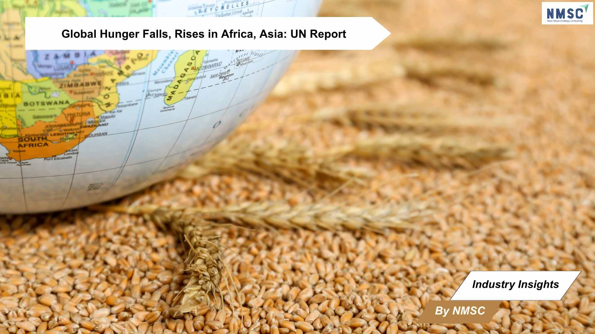 Global Hunger Declines, Yet Surges in Africa and Western Asia: UN Report