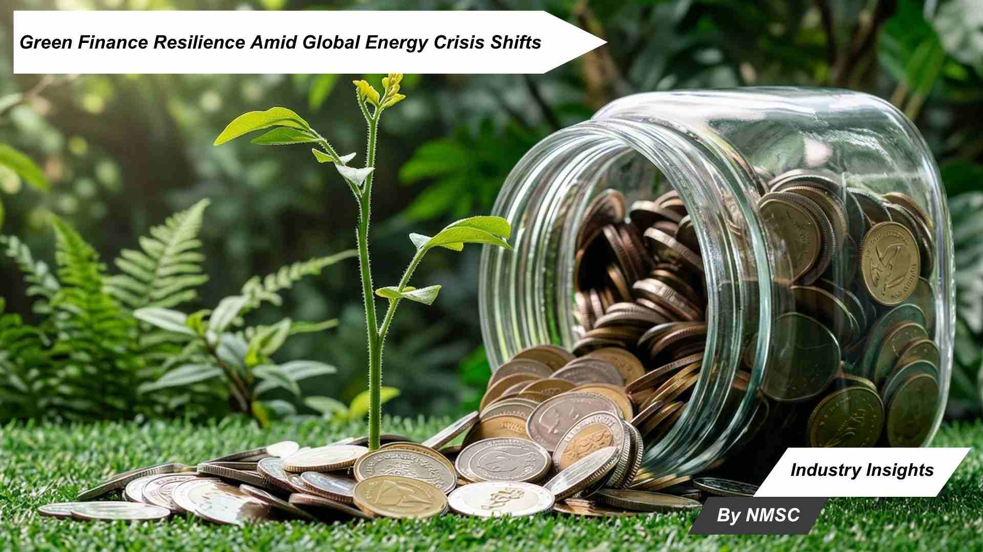 Green Finance Resilience Amid Global Energy Crisis Shifts