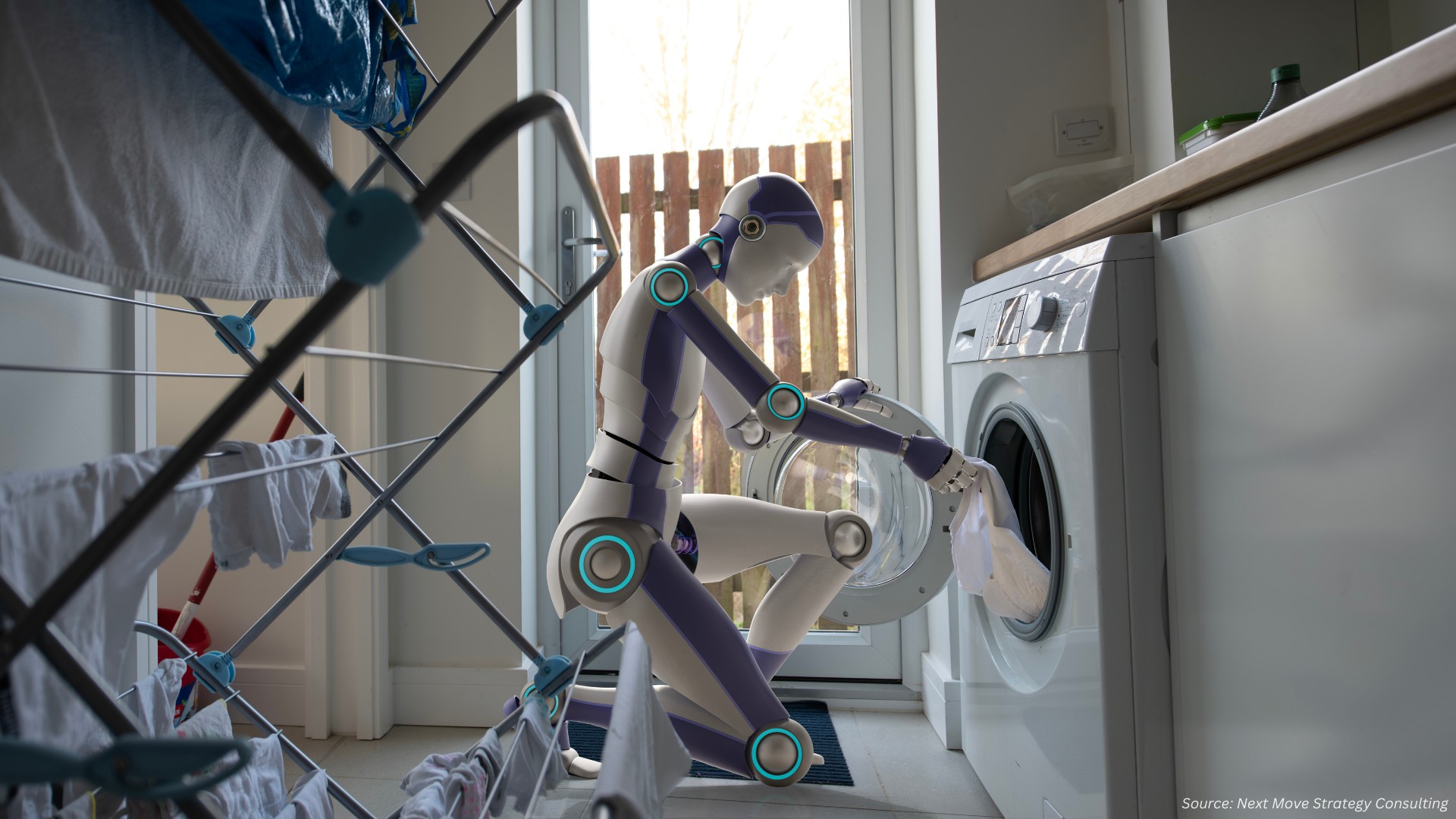 Are Household Robots the Future of Home Convenience?