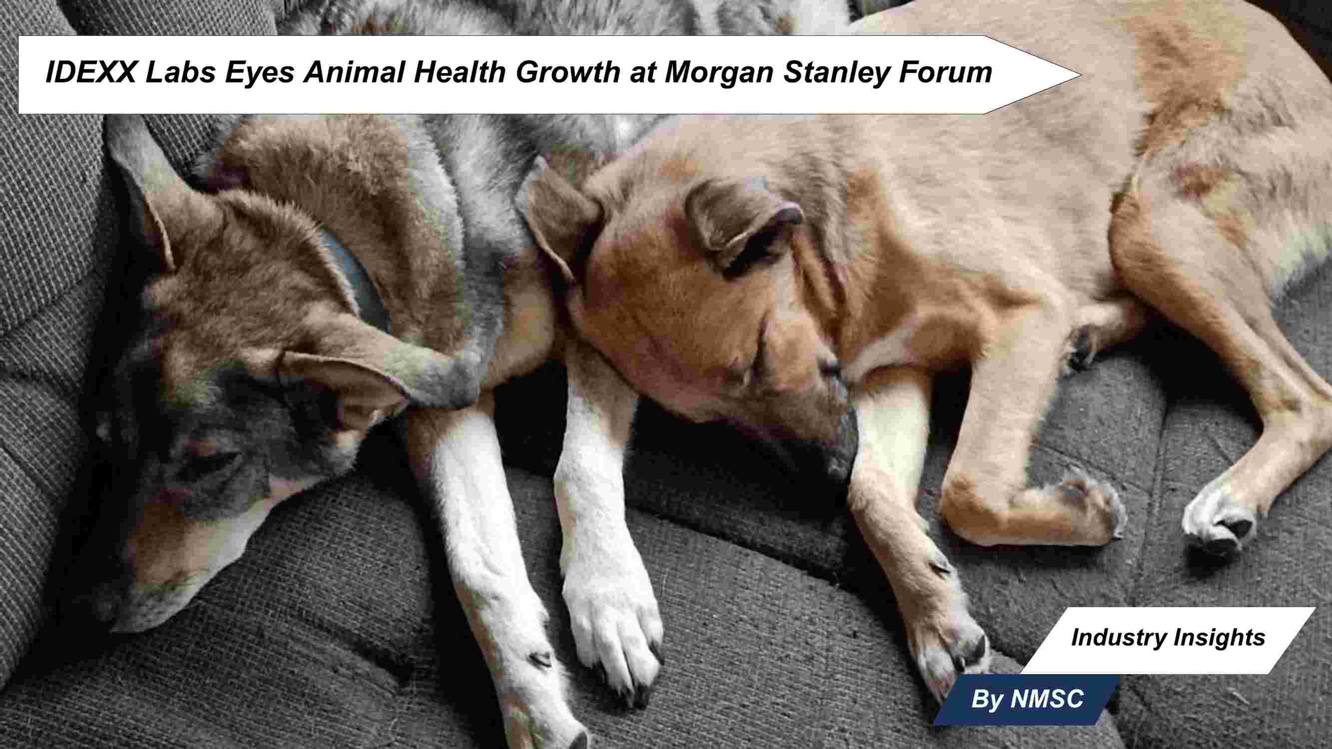 IDEXX Labs Eyes Animal Health Growth at Morgan Stanley Forum