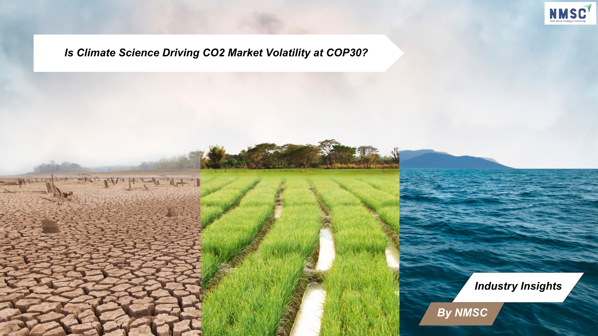 Is Climate Science Driving CO2 Market Volatility at COP30?