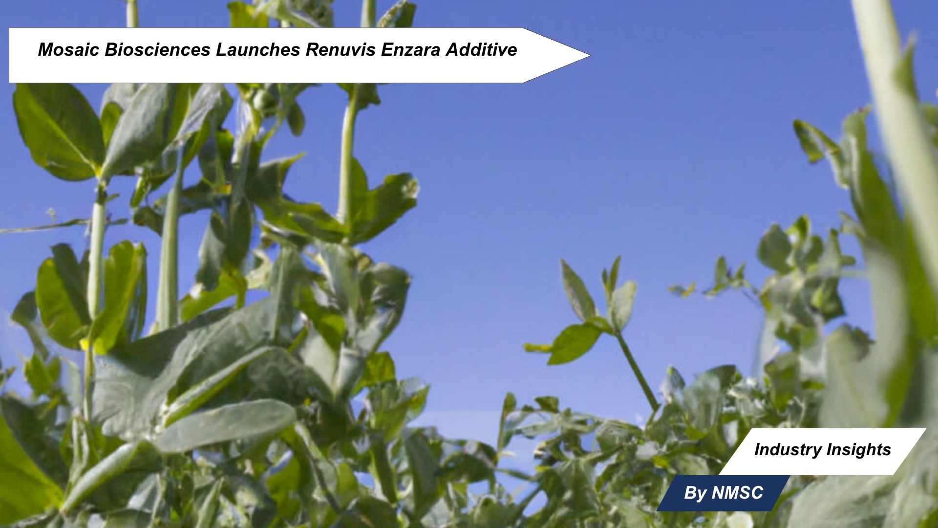 Mosaic Biosciences Launches Renuvis Enzara Additive