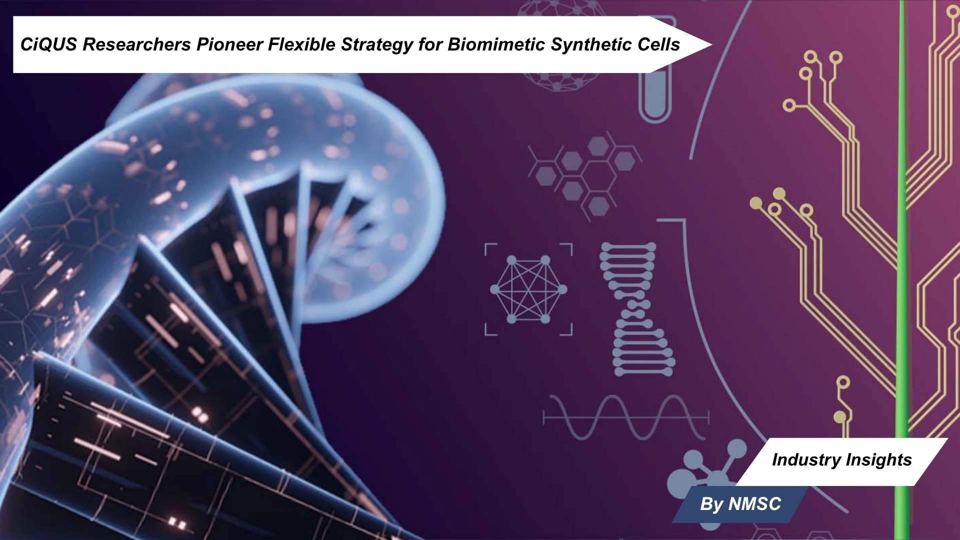 CiQUS Researchers Pioneer Flexible Strategy for Biomimetic Synthetic Cells
