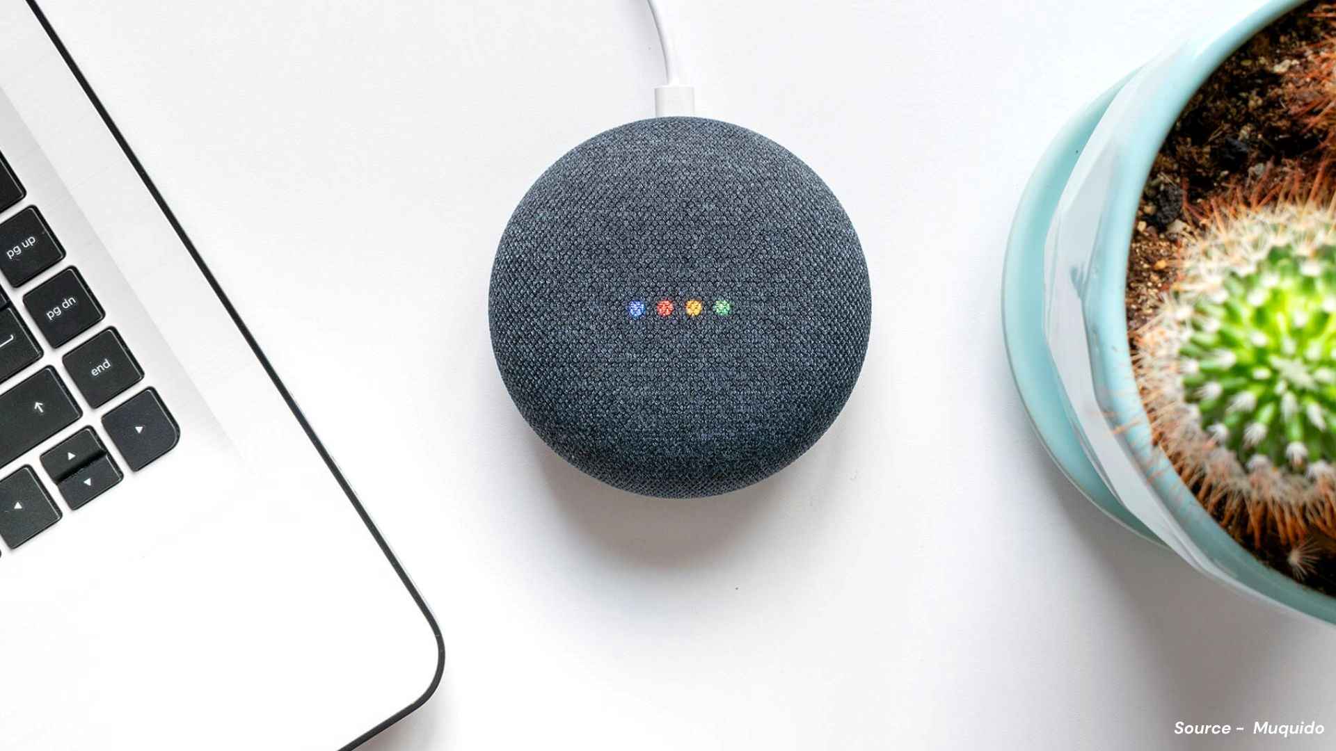 India Voice Assistant Market: Navigating Growth and Innovation