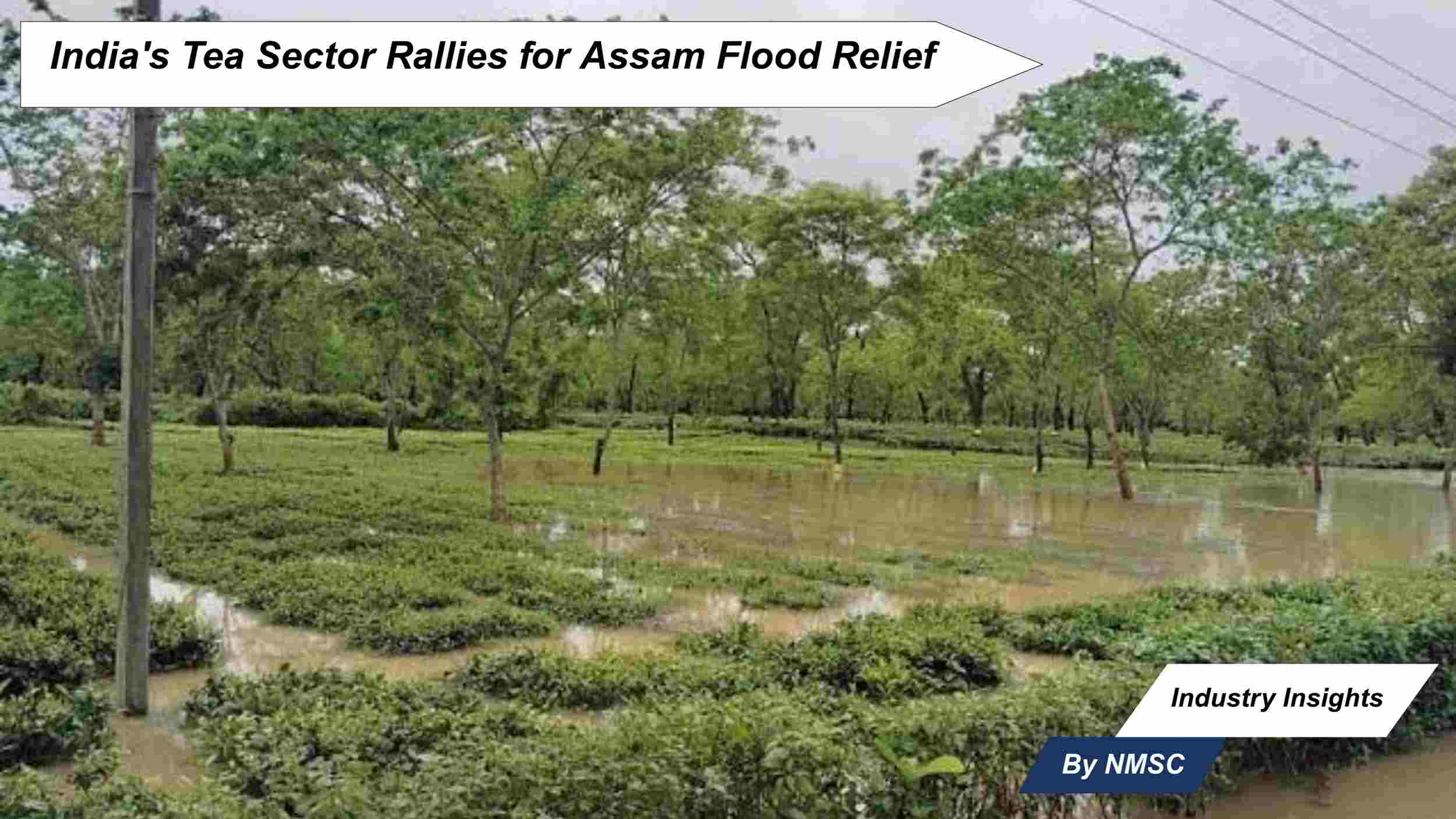 India's Tea Sector Rallies for Assam Flood Relief