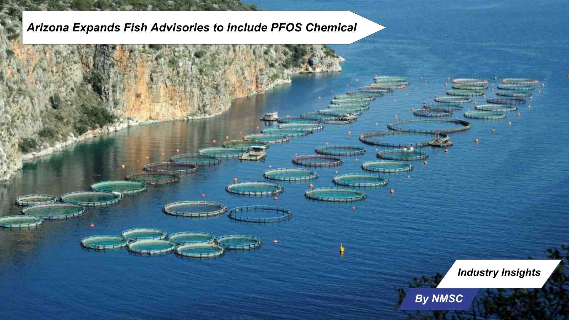 Arizona Expands Fish Advisories to Include PFOS Chemical