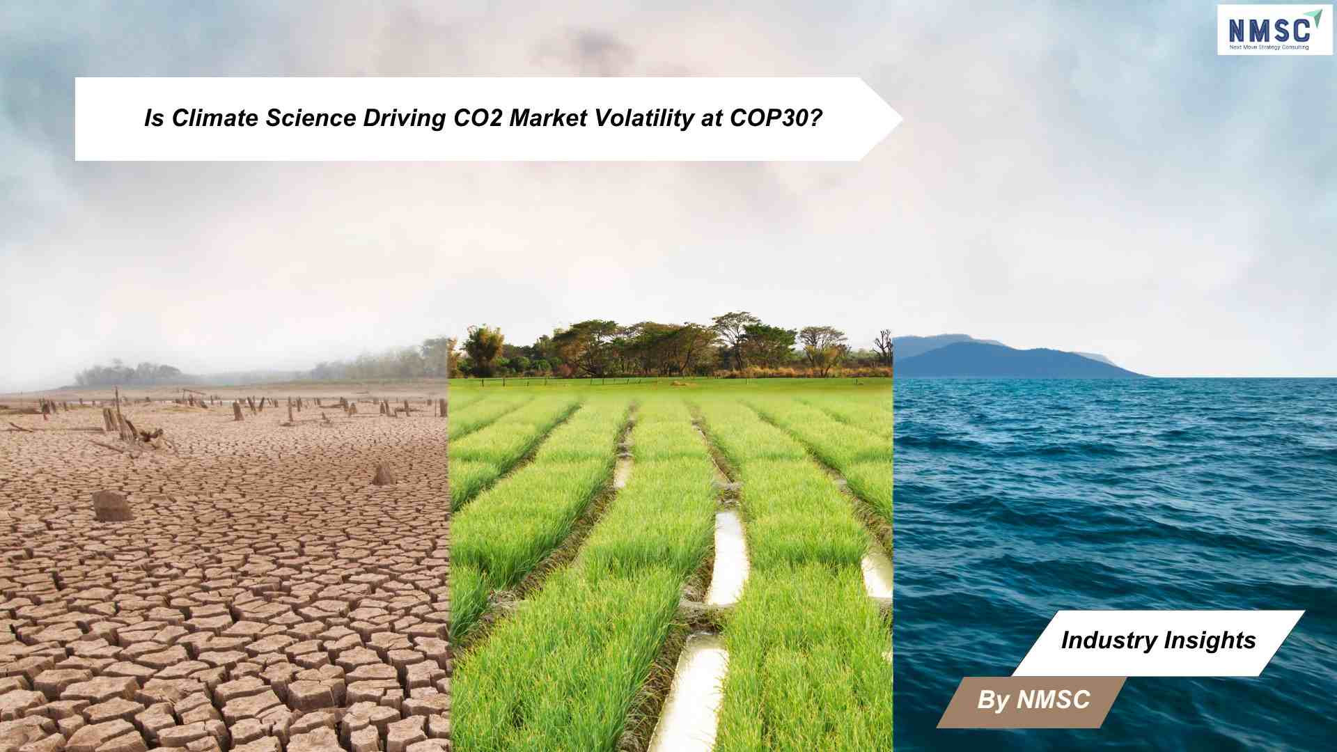 Is Climate Science Driving CO2 Market Volatility at COP30?