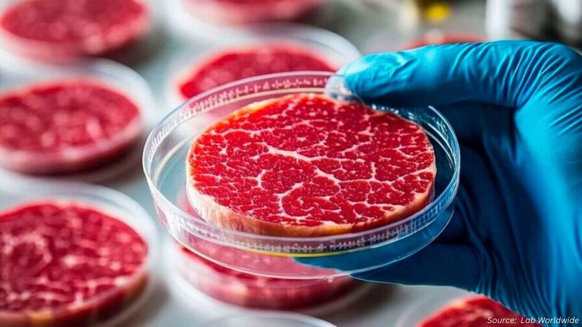 Lab-Grown Food Market — How Significant Is Australia’s 2025 Approval?