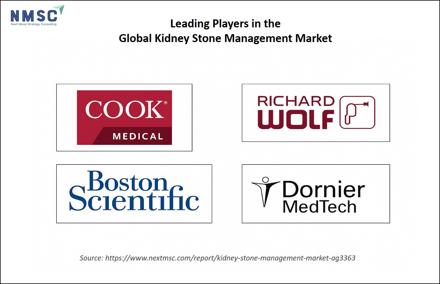 Leading Companies in the Kidney Stone Management Market Leading Companies in the Kidney Stone Management Market