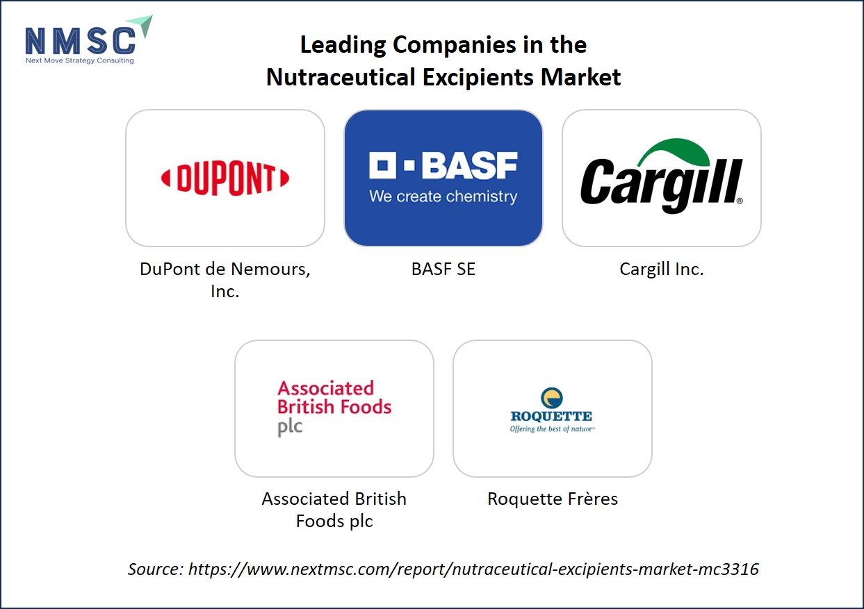 What Innovations are Driving the Nutraceutical Excipients Market in 2025?