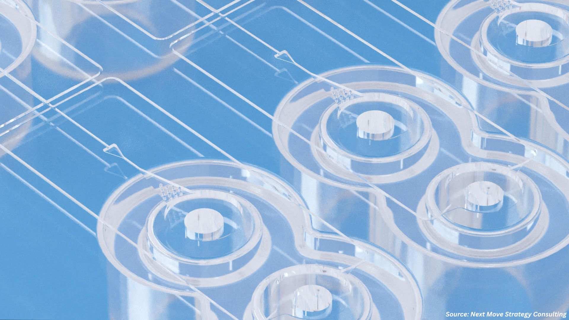Microfluidics Market Growth Driven by 3D Cell Culture