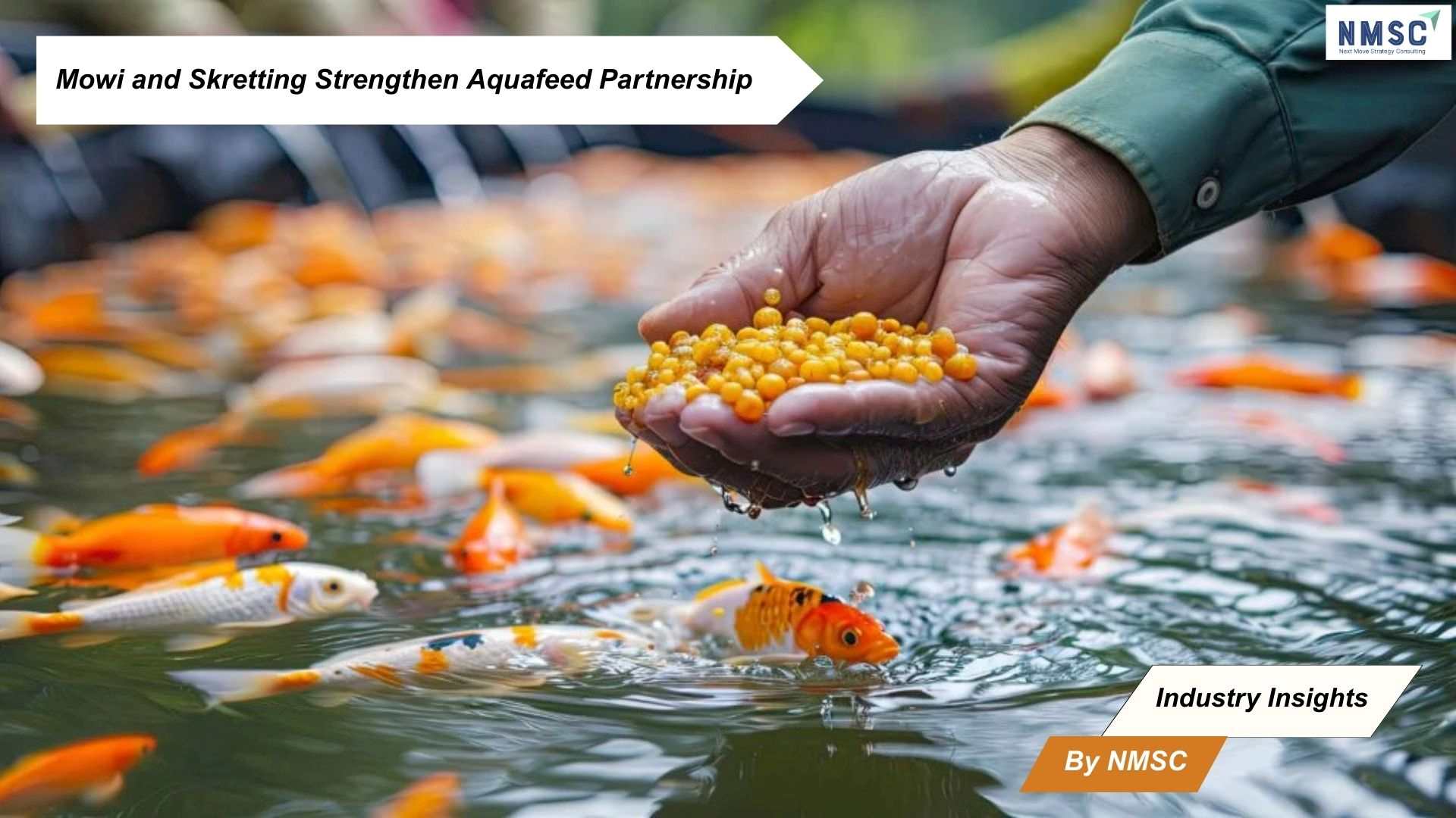 Mowi and Skretting Strengthen Aquafeed Partnership