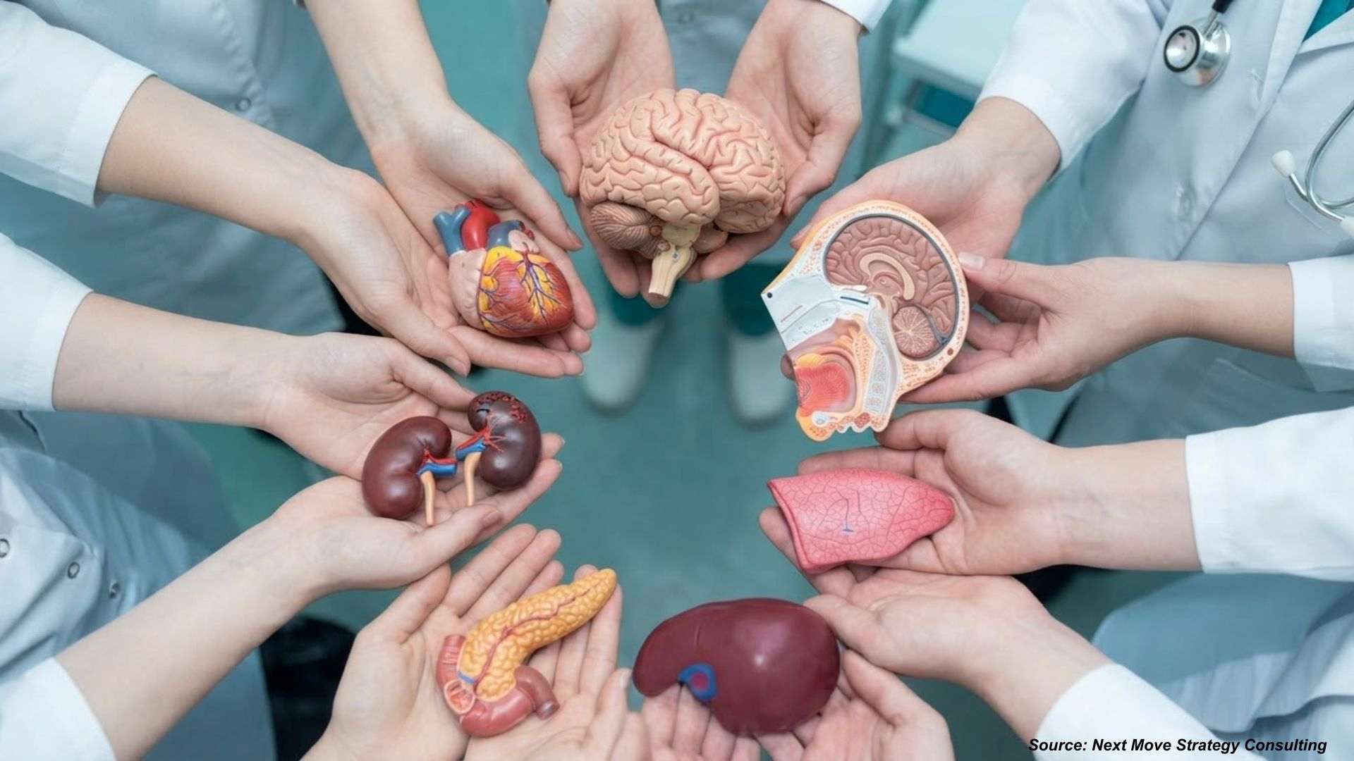 Organ Transplantation Market: Record Volumes and New Frontiers