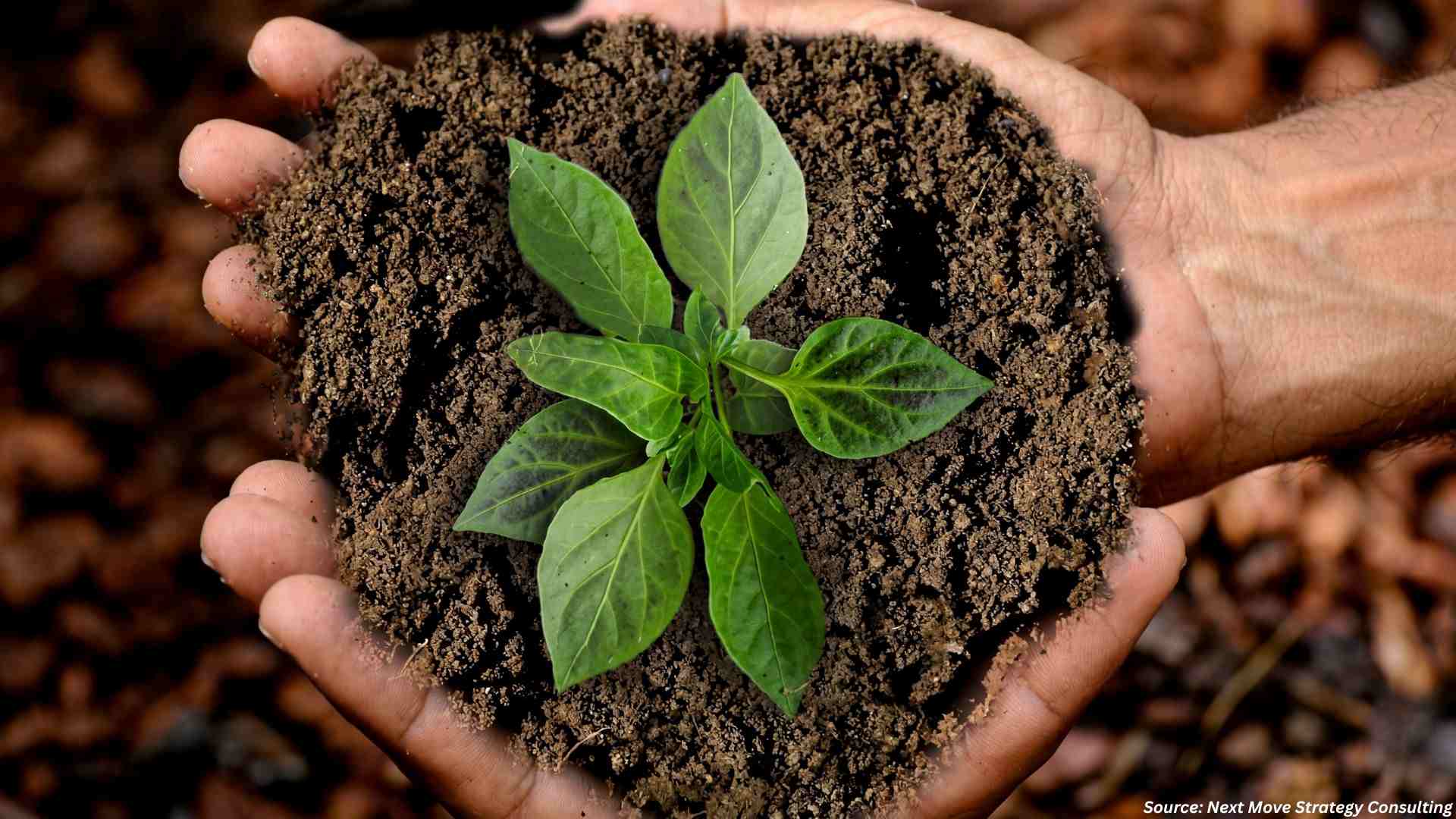 Why Are Organic Fertilizers Gaining Global Attenti...